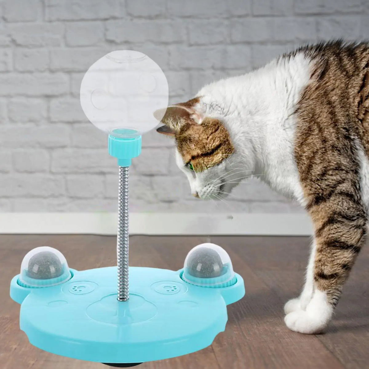 Pet Spring Feeder Toy - Sale✨